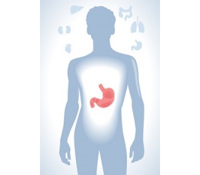 Is a “Leaky Gut” Making you Sick?